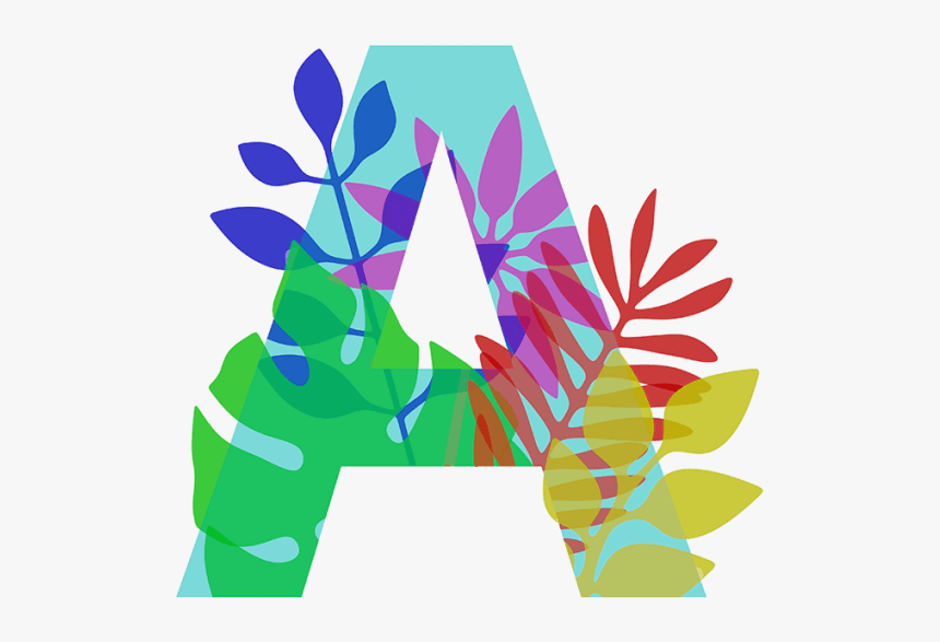 Graphic Design, HD Png Download