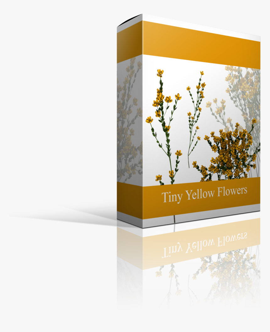 S327483270339485525 P53 I55 W2560 - Floral Design, HD Png Download