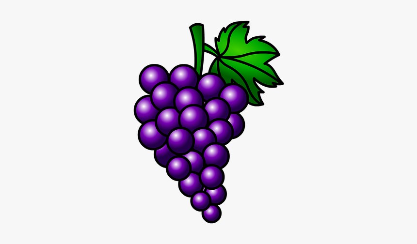 Uvas, Frutas, Racimo - Racimo De Uvas Moradas, HD Png Download