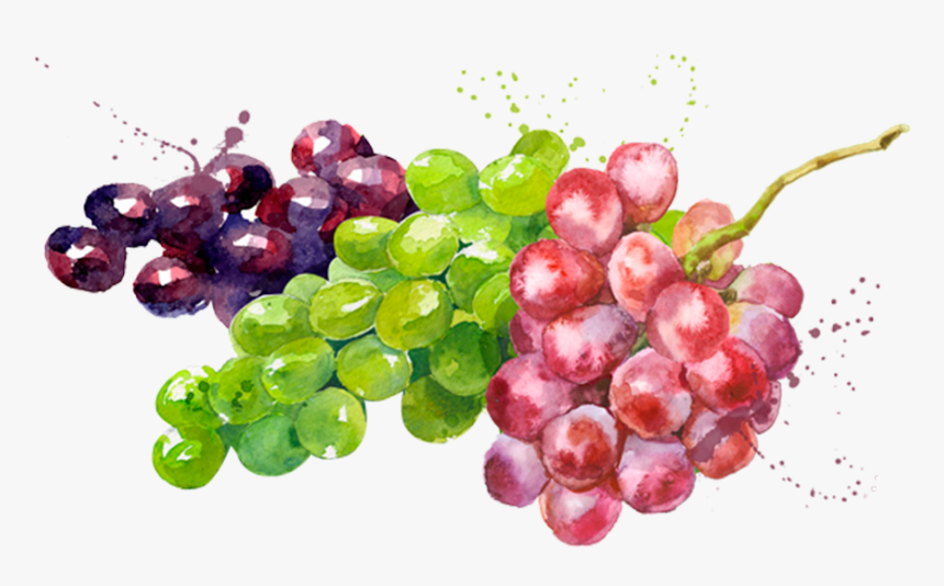 Prod Fruta Uvas - Seedless Fruit, HD Png Download