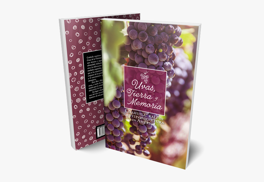 Sultana, HD Png Download