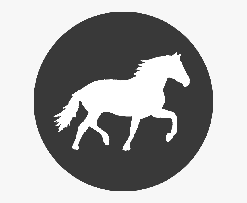 Black Round Twitter Png, Transparent Png