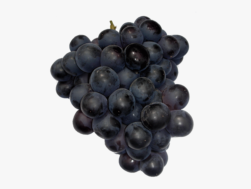 Uvas Negras, HD Png Download
