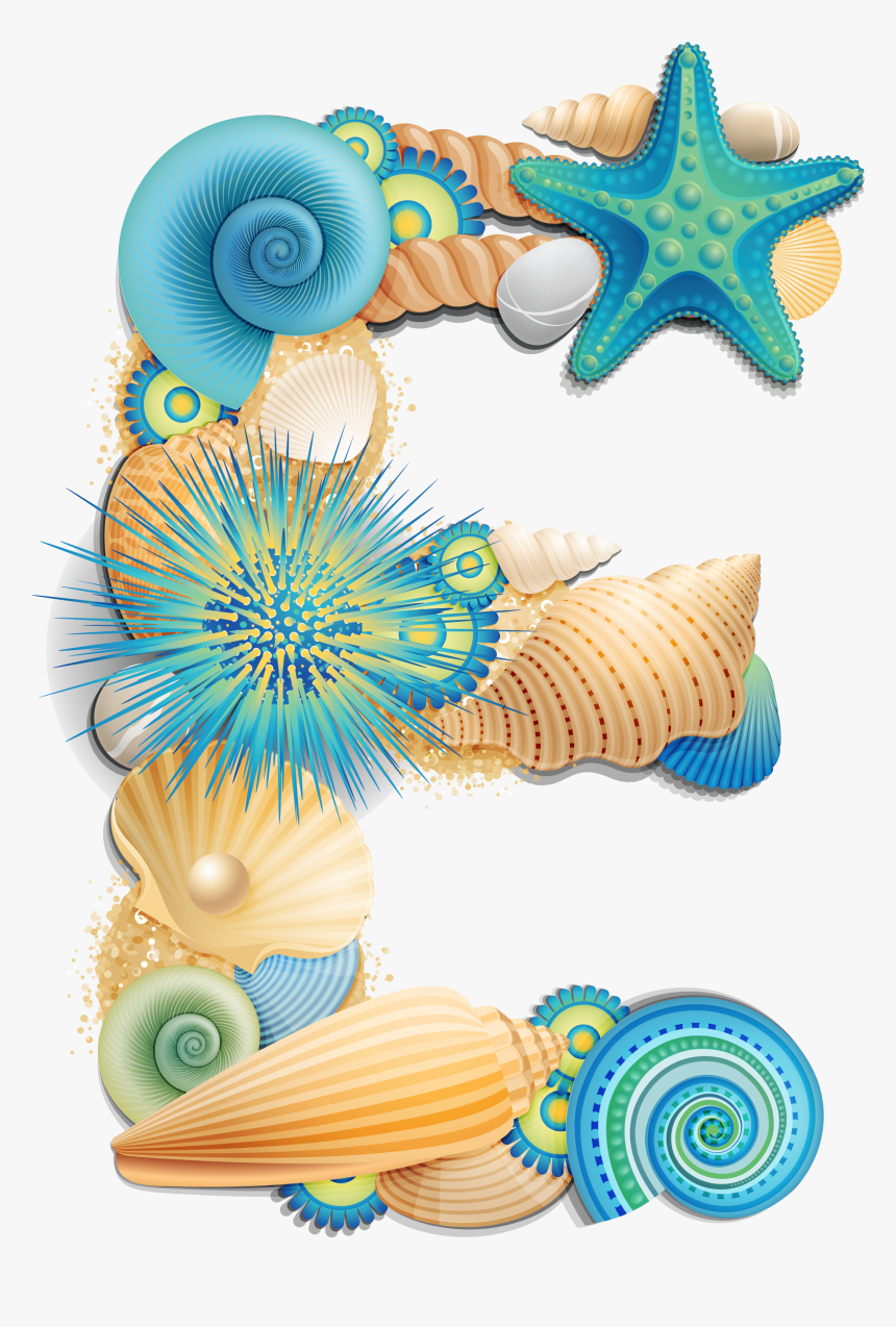 Transparent Seashell Clipart - Shell Letters Clip Art, HD Png Download ...
