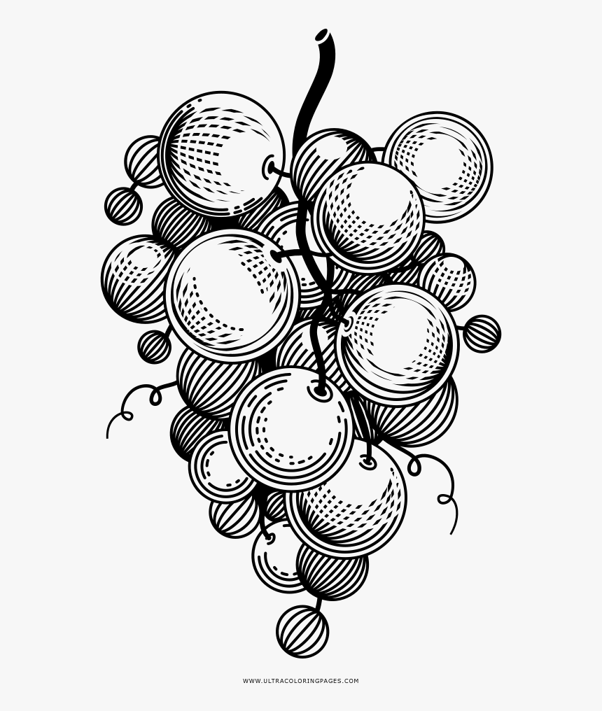 Uvas Página Para Colorear - Png Grape Black White, Transparent Png