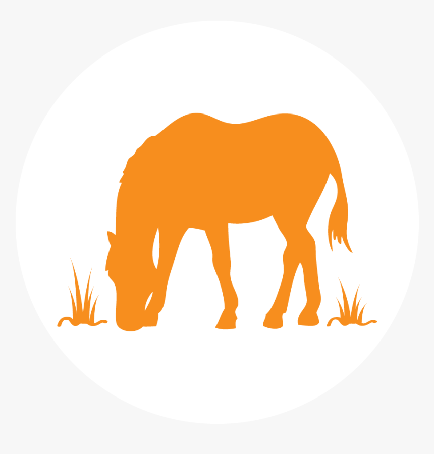 Horse & Farm Committee Icon - Down Steal This Album, HD Png Download