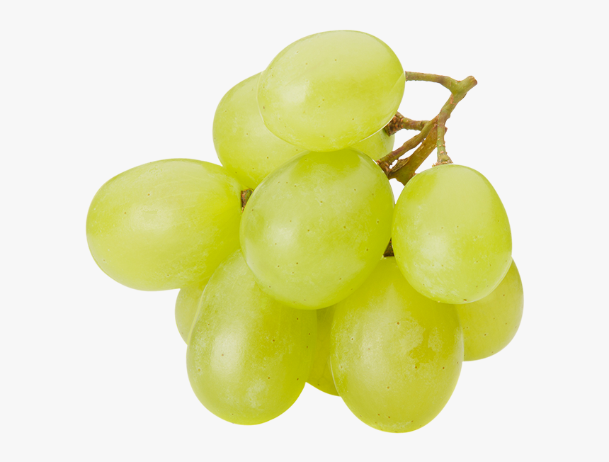 Sultana, HD Png Download