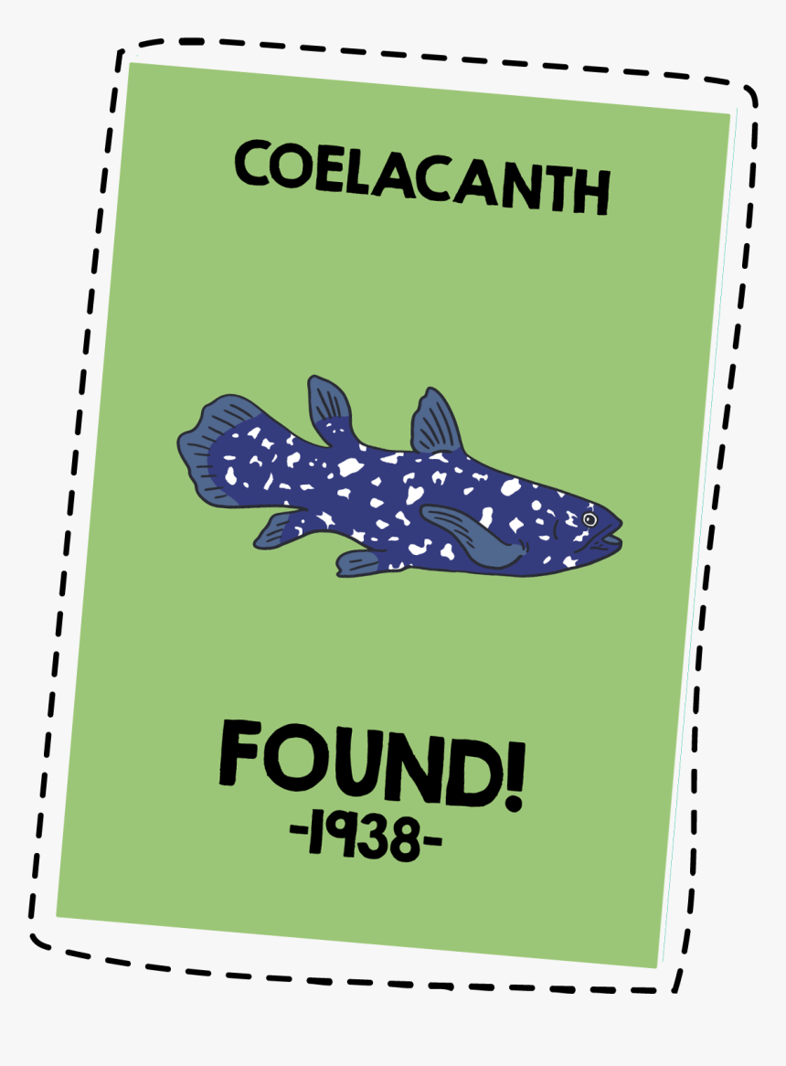 Transparent Fish Skeleton Png - Paper, Png Download