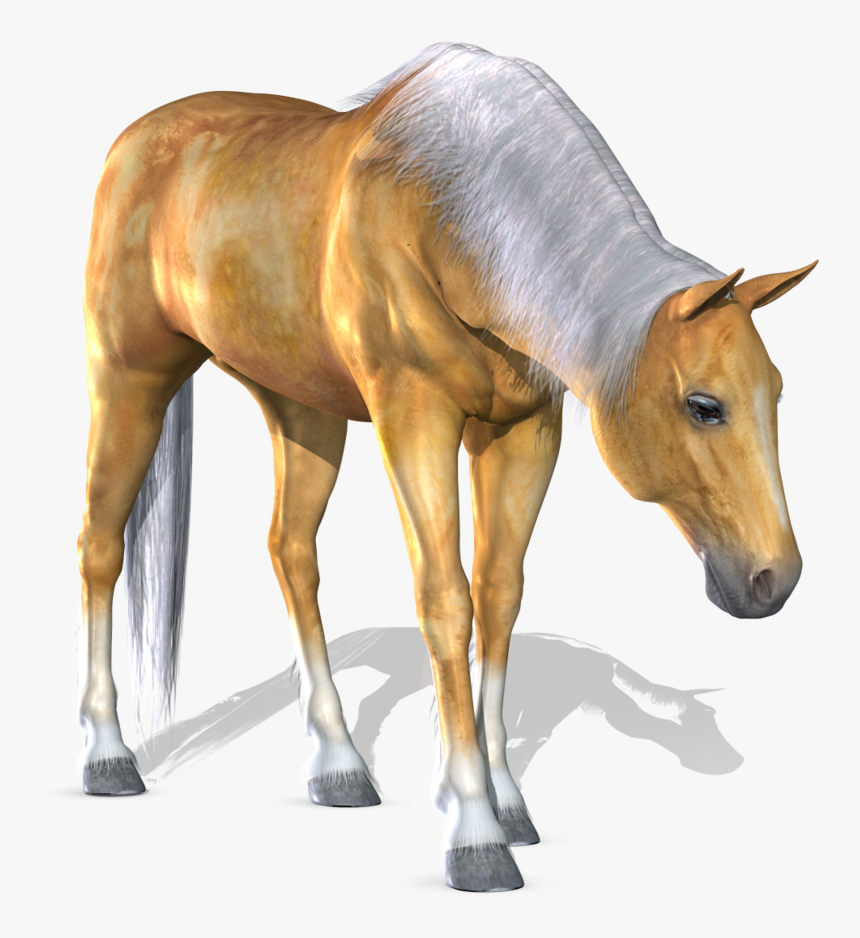 Download For Free Horse Icon - Portable Network Graphics, HD Png Download