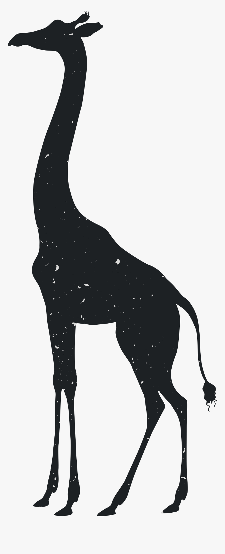 Transparent Giraffe Silhouette Png - Zoo Animal Silhouette Png, Png Download