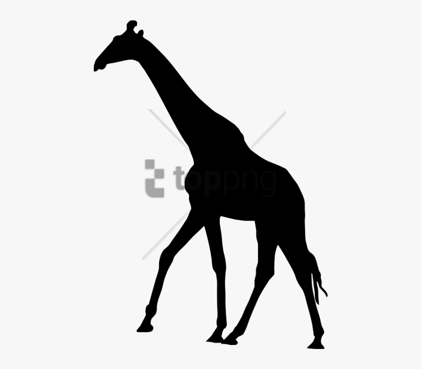 Transparent Giraffes Clipart - Transparent Background Giraffe Silhouette Png, Png Download
