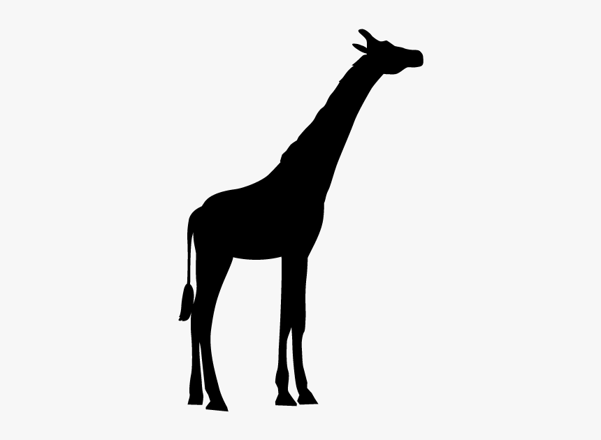 Silhouette Giraffe Clipart Black And White, HD Png Download