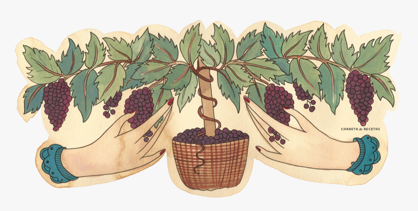 Historia De La Uva, HD Png Download