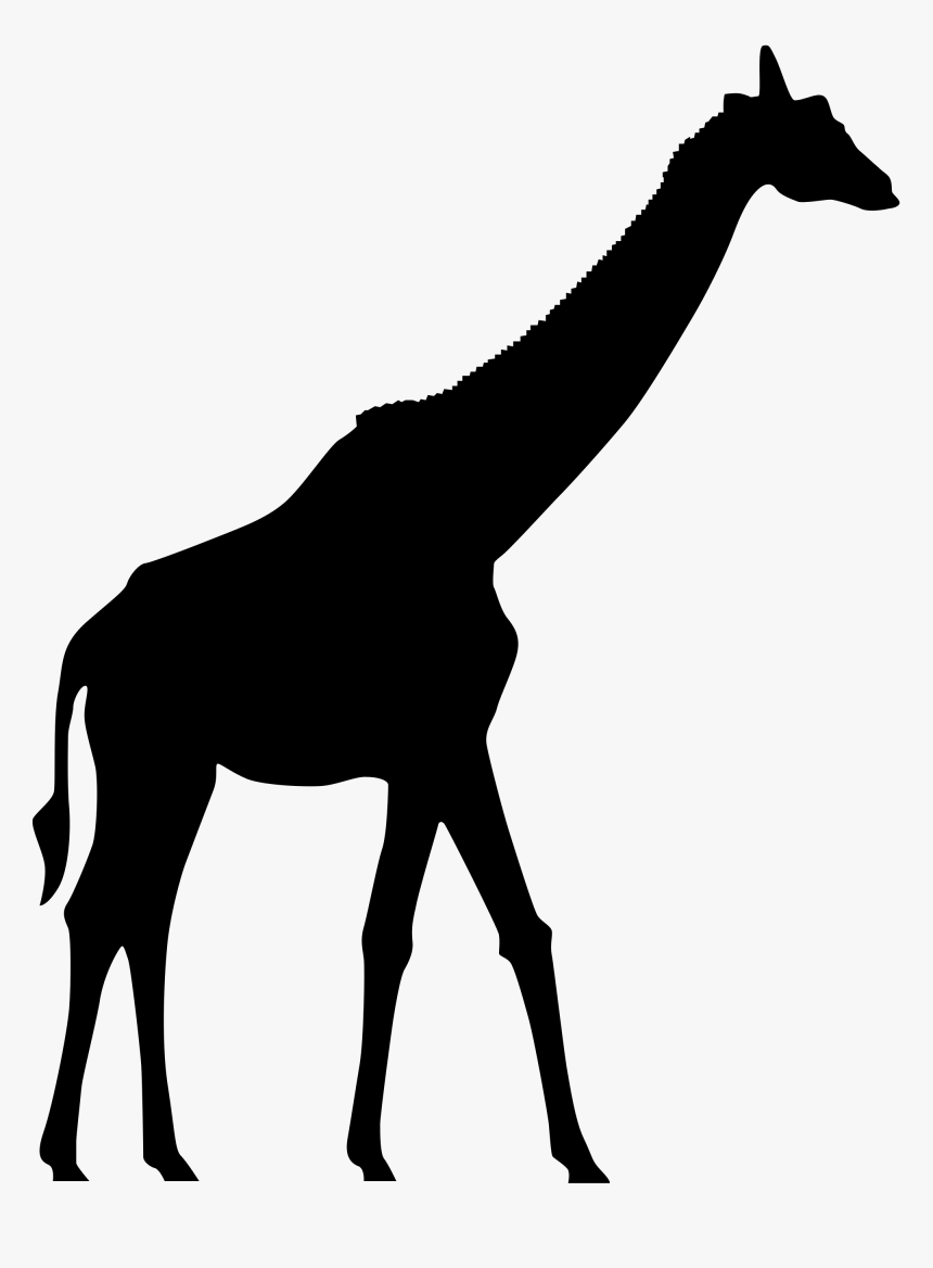 Horse Clip Giraffe - Giraffe Laying Down Silhouette, HD Png Download