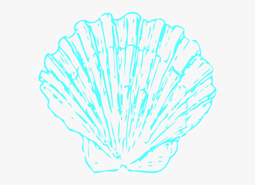 Aqua Shell 2 Svg Clip Arts - Illustration, HD Png Download