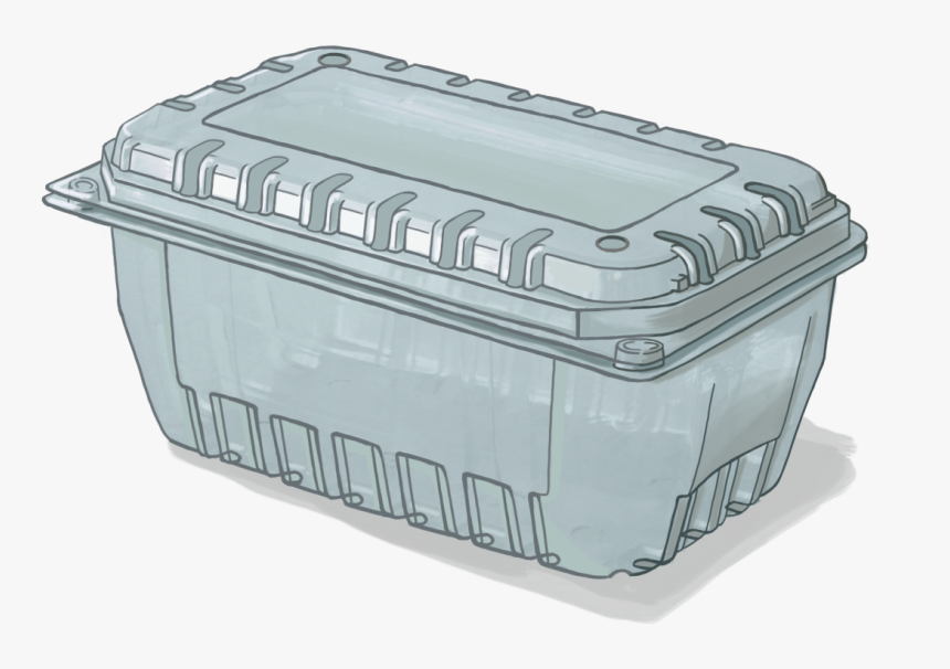 Clamshell Uva, HD Png Download