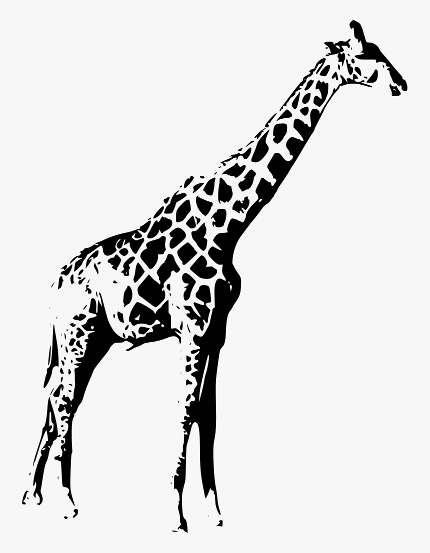 Silhouette Giraffe Png - Giraffe Stencil Black And White, Transparent Png