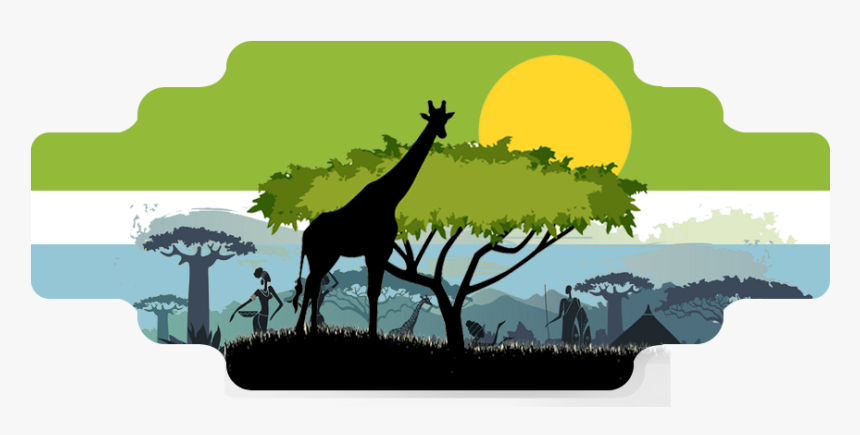 Giraffe, HD Png Download