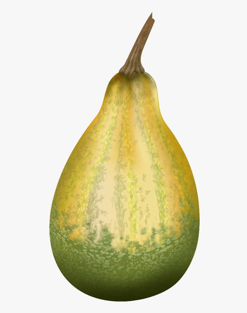 Png File Vectors Pinterest - Gourd, Transparent Png