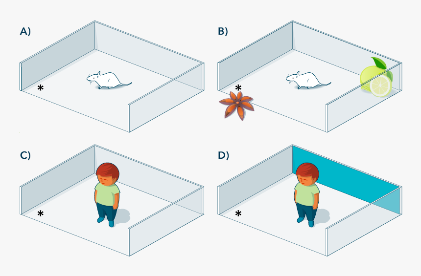 Illustration Of Research Testing Rats - Illustration, HD Png Download