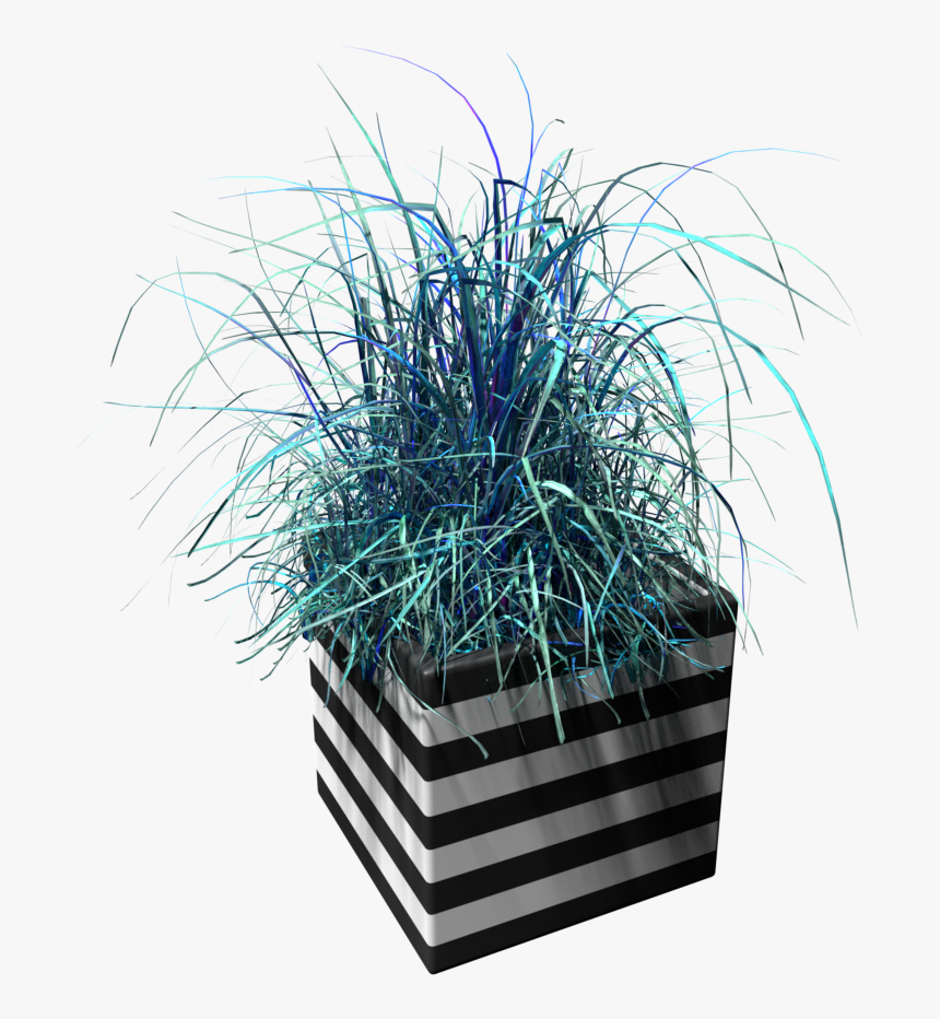 Flowerpot, HD Png Download