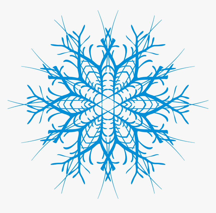 Circle, HD Png Download