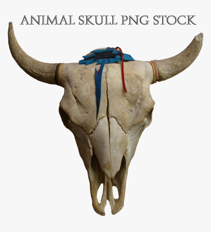 Transparent Animal Skull Png - Png Animal Skull, Png Download