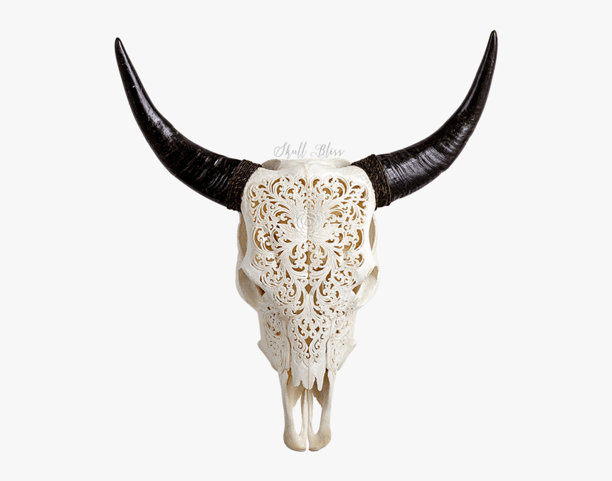 Skull Variant Skull Only - Skull Bliss, HD Png Download