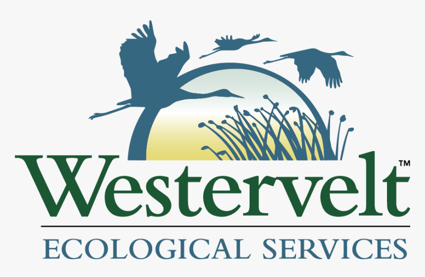 Westervelt Ecological Services, HD Png Download