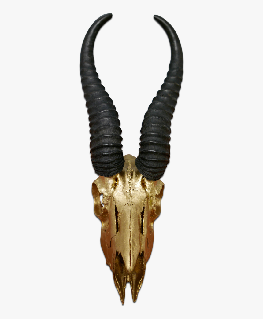 Transparent Antelope Horns, HD Png Download