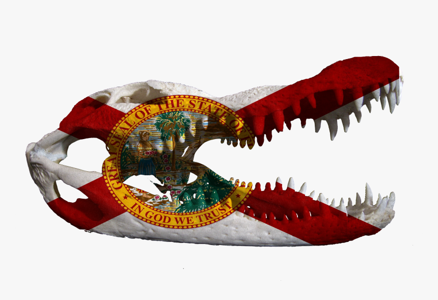 Florida Flag Shirt, HD Png Download