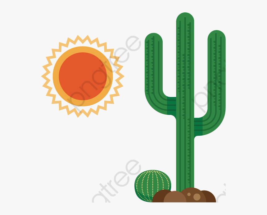 Transparent Format Image With - Hedgehog Cactus, HD Png Download