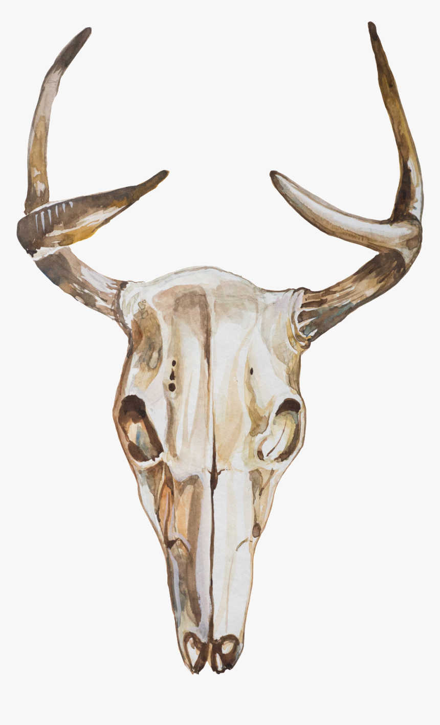 Ethnic Element Animal Skull Transparent - 羊 头骨, HD Png Download
