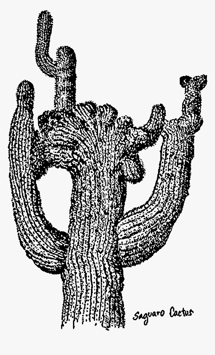Saguaro Cactus Clip Arts - Clip Art Transparent Black And White Cactus Tall, HD Png Download