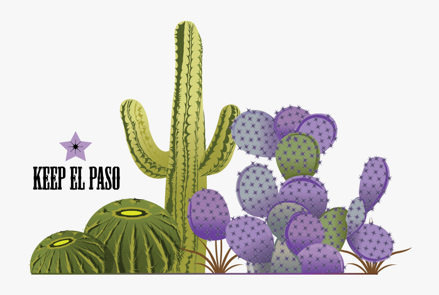 Transparent Cactus Vector Png - Prickly Pear, Png Download