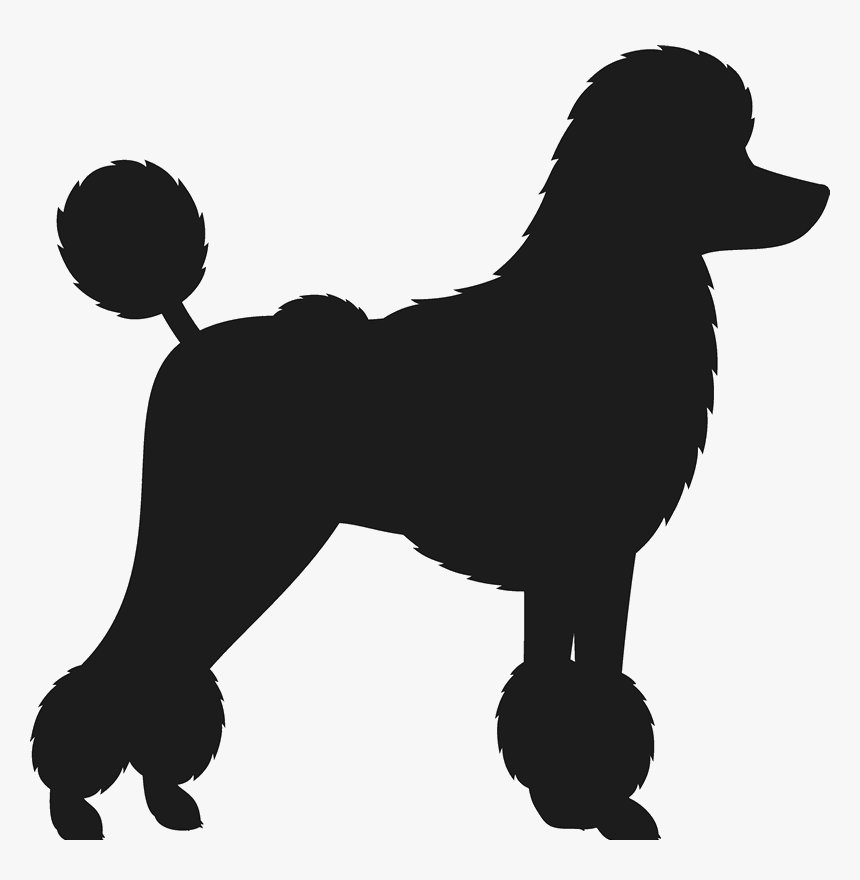 Can You Identify This Formal Dog Breed, HD Png Download