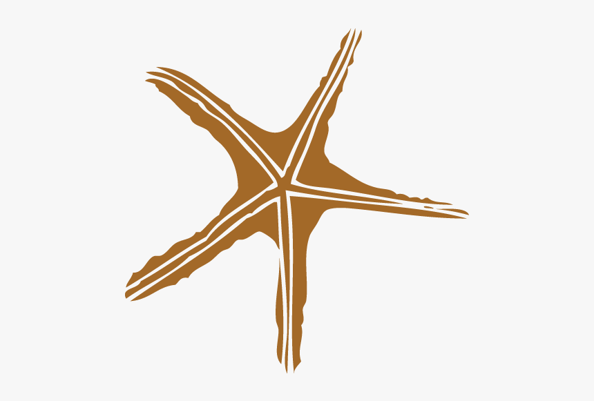 Starfish, HD Png Download