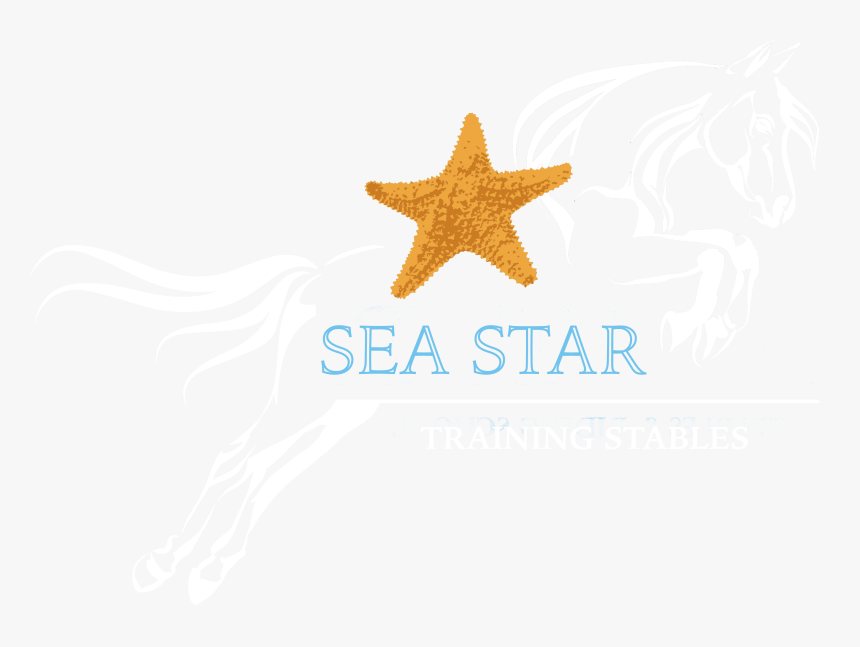Horse Riding Schools Branding, HD Png Download