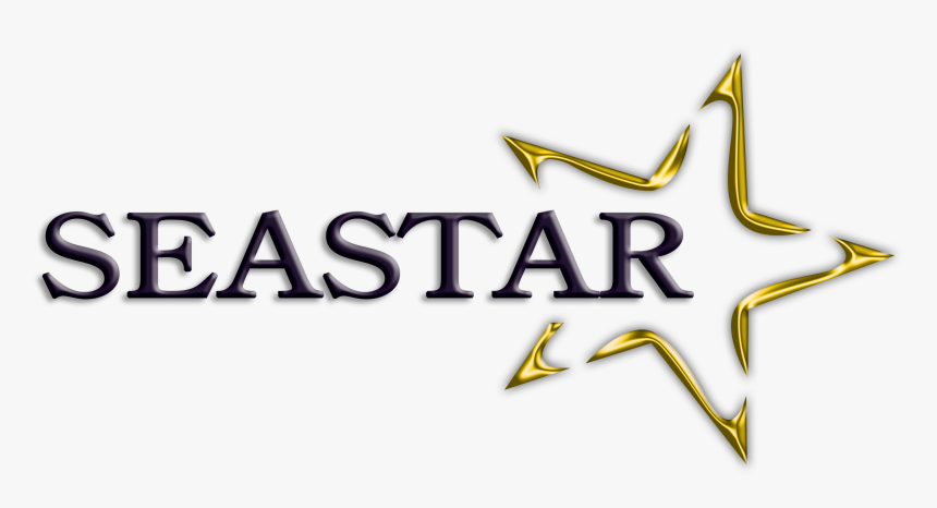 Sea Star, HD Png Download