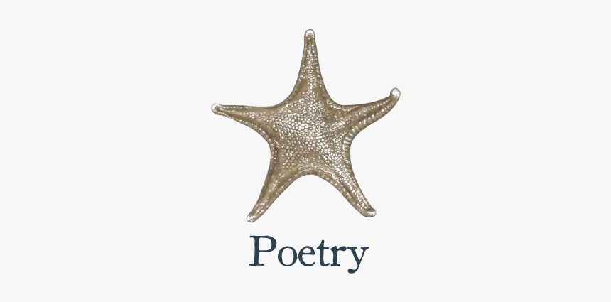 Poetry - Echinoderm, HD Png Download