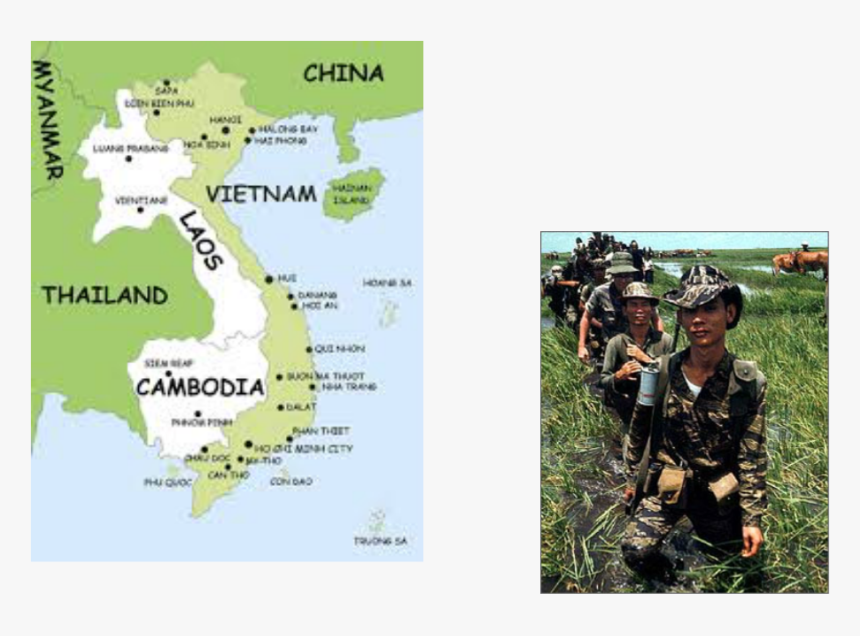 Picture - Asian Tiger Stripe Vs Tiger Stripe, HD Png Download