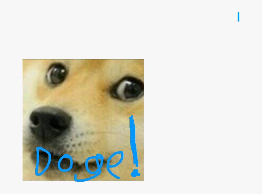 Transparent Doge Face Png - Much Wow Many Thanks, Png Download