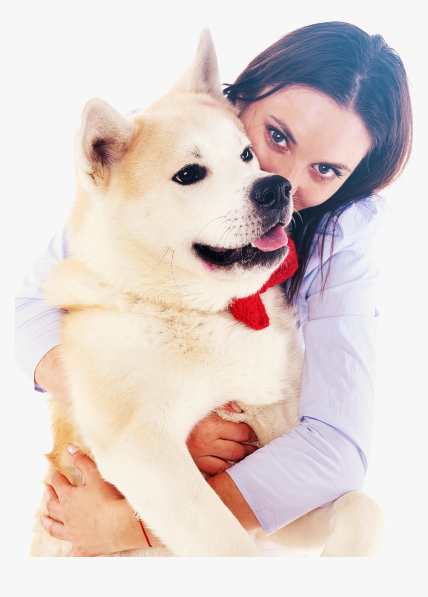 Pancreatita La Caini - Companion Dog, HD Png Download