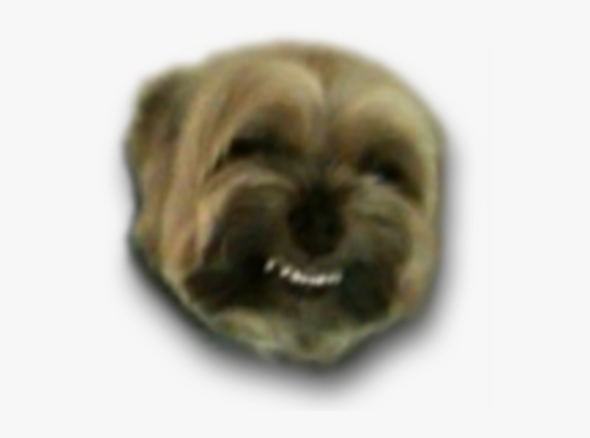 My Faggot Dog, HD Png Download