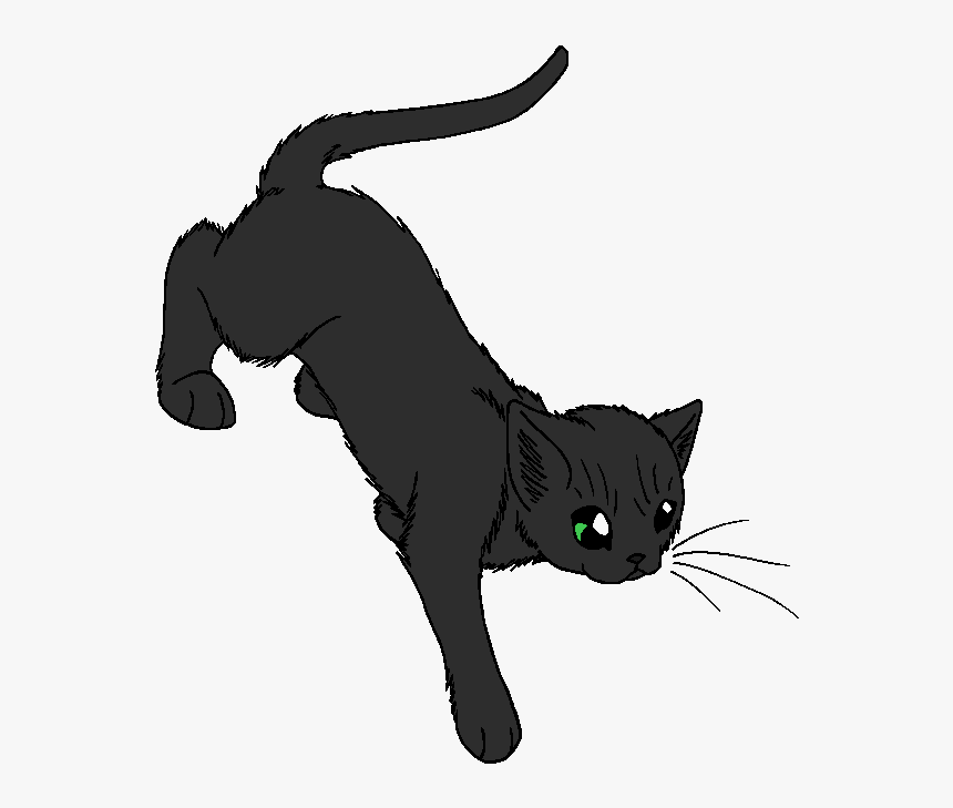 Night Of No Stars - Warrior Cats Night Of No Stars, HD Png Download