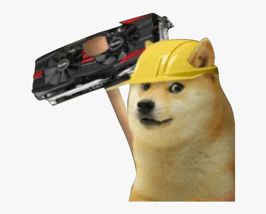 Shiba Inu, HD Png Download