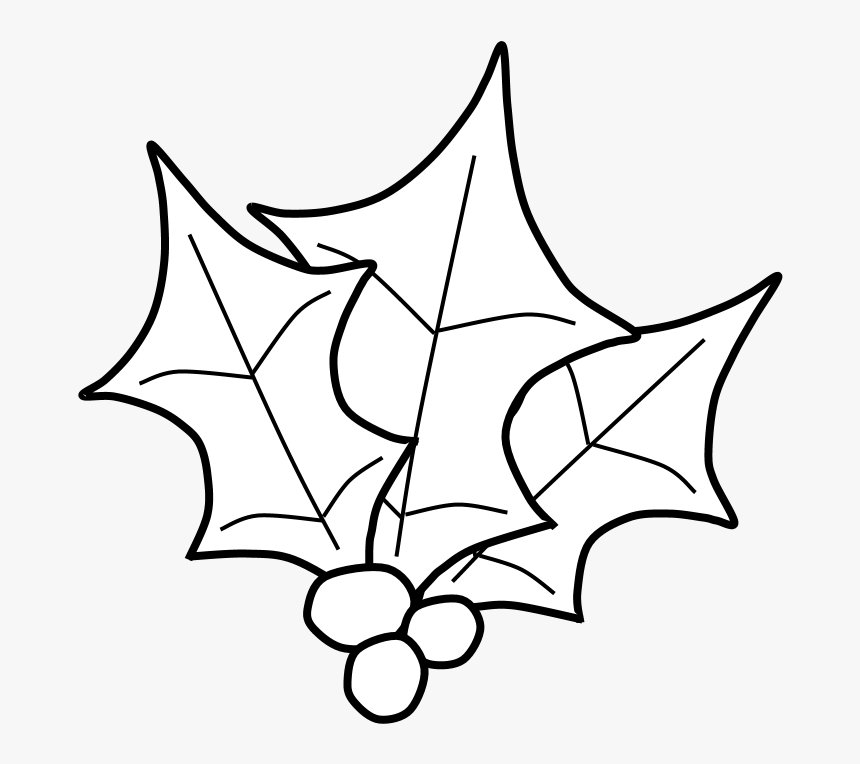 Holly, Berries, Leaves Together, Black And White - Illustration, HD Png Download