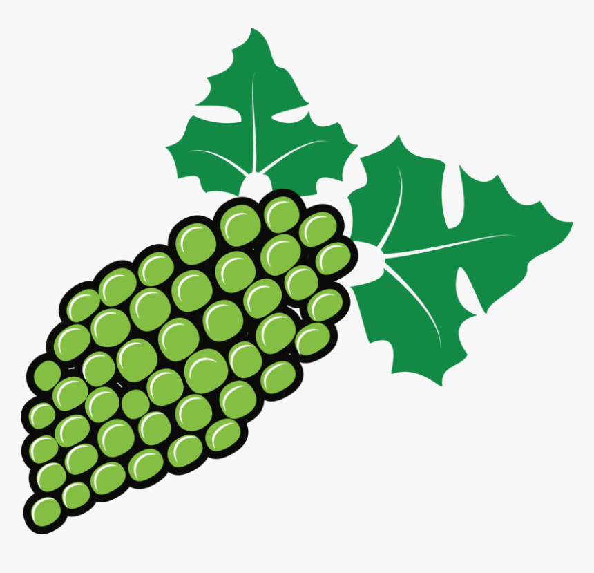 Seedless Fruit,plant,grape, HD Png Download