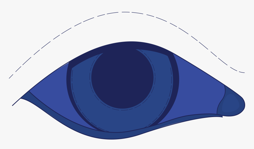 Clip Art, HD Png Download