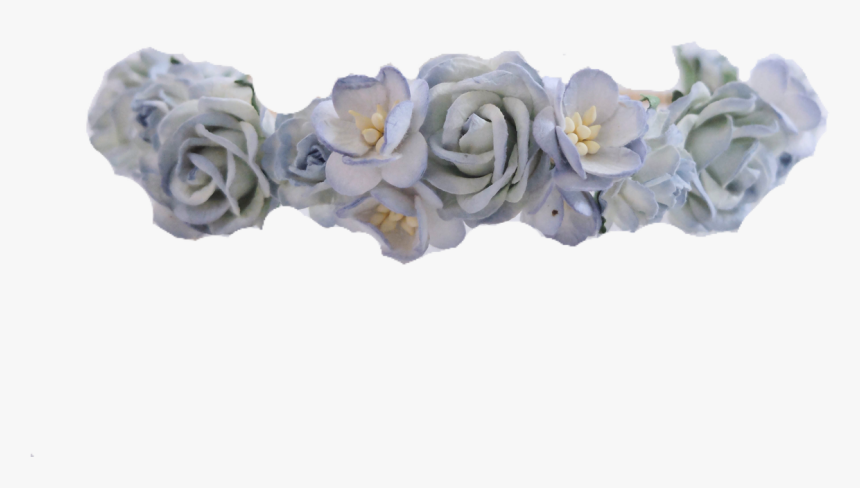 Rose, HD Png Download